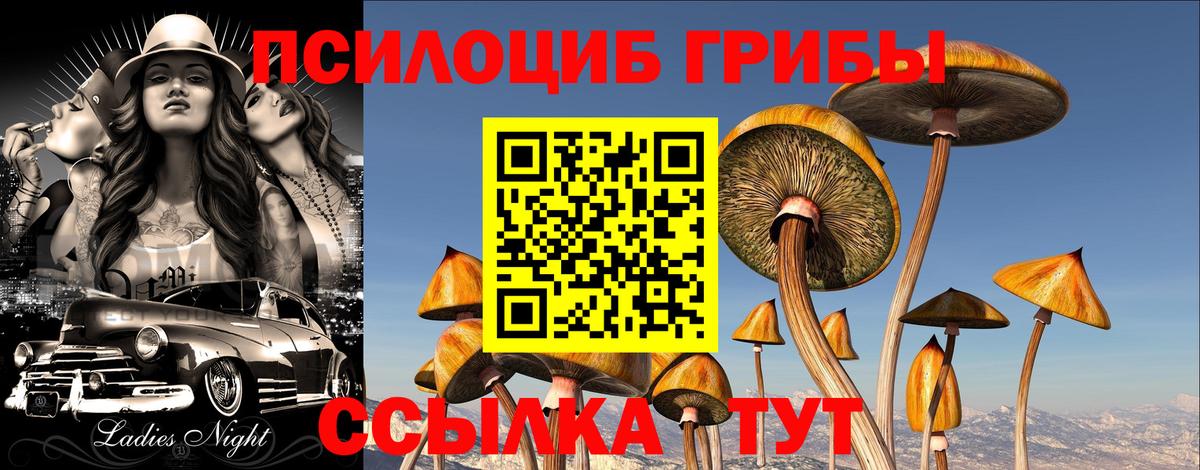 Галлюциногенные грибы GOLDEN TEACHER Волоколамск